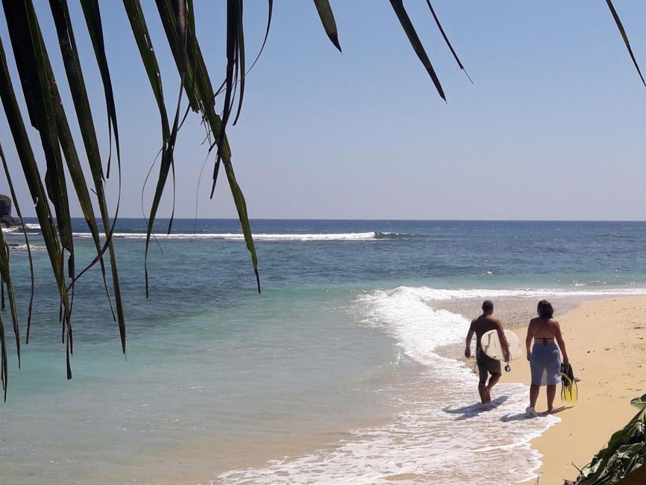 Southern Beach Surf Lodge アハンガマ エクステリア 写真